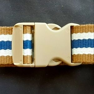 Striped Dog Collars